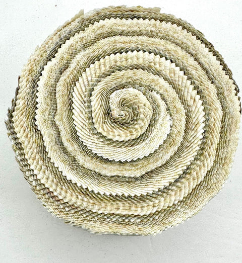 Java Batiks Tan Beige Cream Batik Jelly Roll 40 2.5 Inch Fabric Strips ST-MASJAB-TAN2