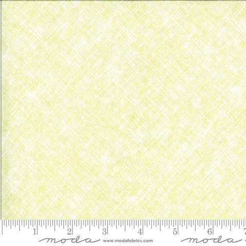 OOP Moda Canning Day Corey Yoder Light Yellow 29087-15 Cotton 2 Yard 10 Inch Fabric Remnant