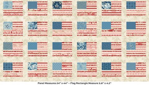 BTP Andover Laundry Basket Quilts LBQ Stars and Stripes Flag Floral Fabric Panel