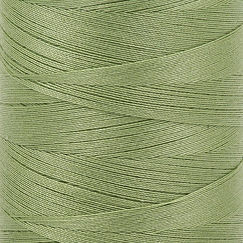 2882 - Light Fern