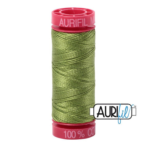 2888 - Fern Green