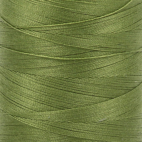2888 - Fern Green