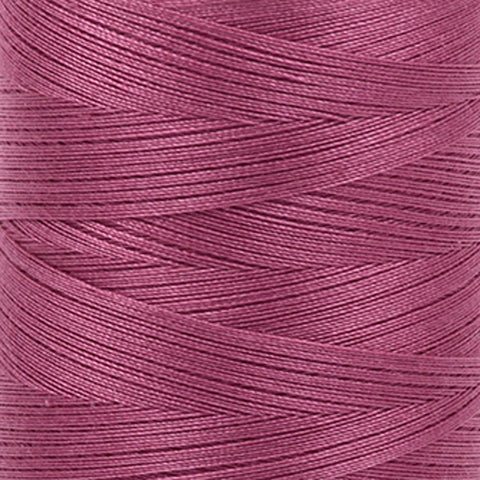 2450 - Rose
