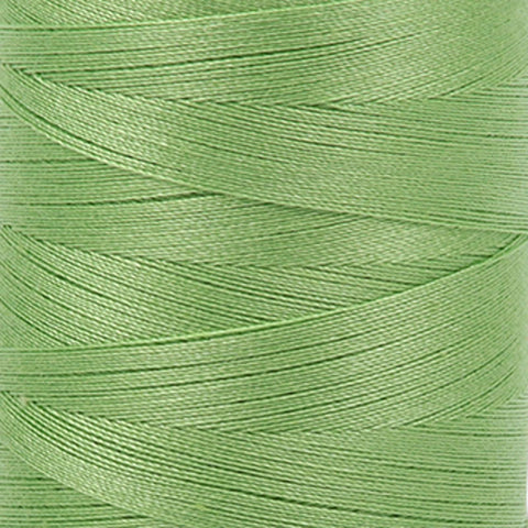 5017 - Shining Green