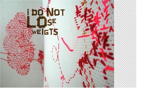 Princeton Press By Hand The Use of Craft in Contemporary Art Book by Shu Hung and Joseph Magliaro