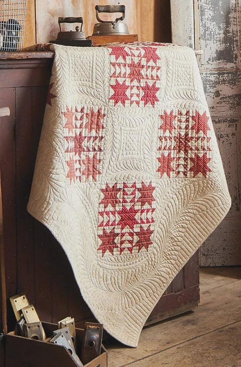 Martingale Treasure Hunt 13 Quilts Inspired by Antique Finds Book by Linda Collins and Leah Zieber